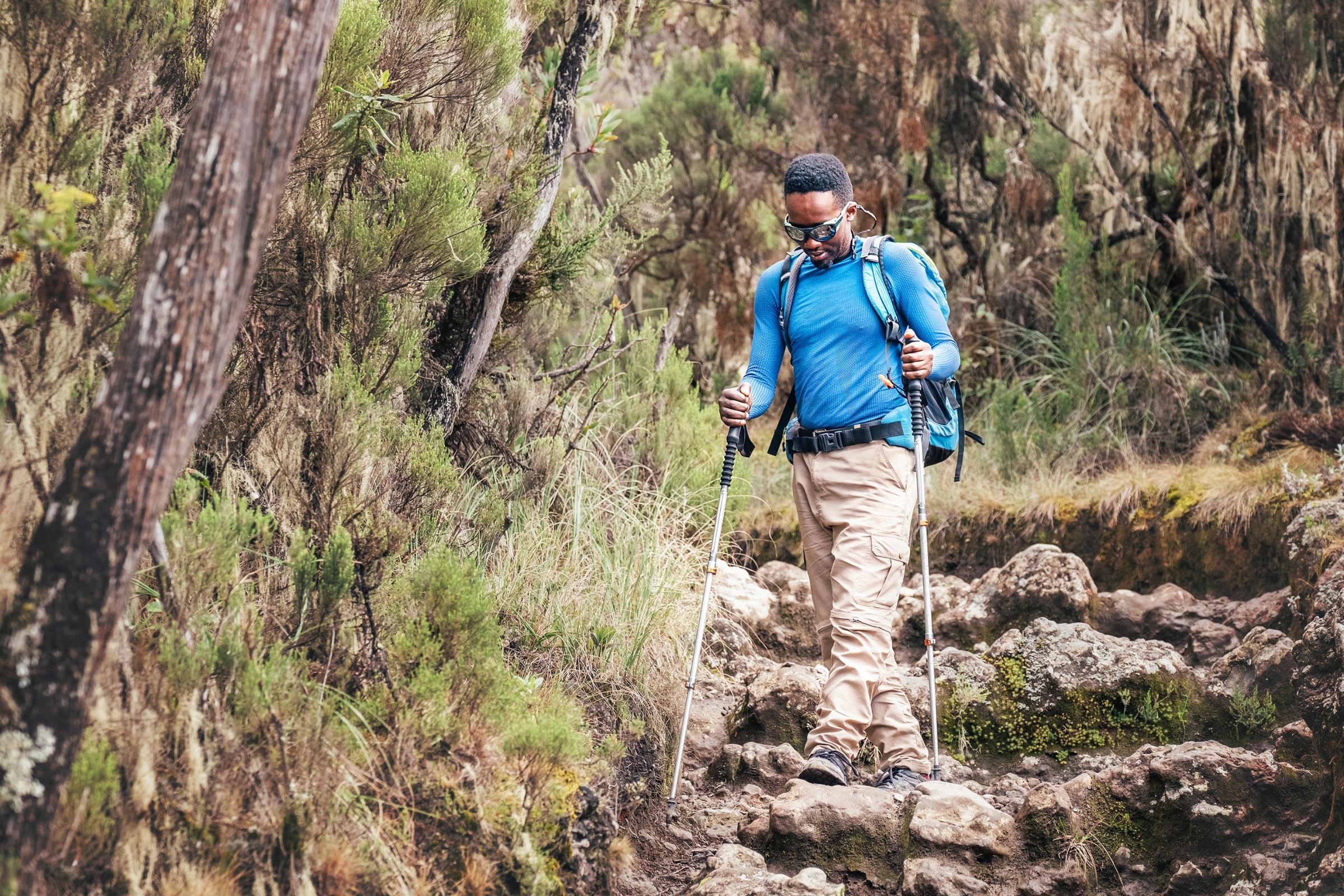 Mweka_Camp[1].webp